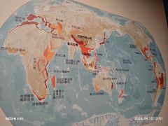 -四川大学博物馆