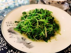 蒜蓉萝卜苗-印象徽州·正宗徽菜体验店