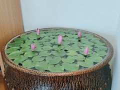 -第六季自助餐厅(北太平庄店)
