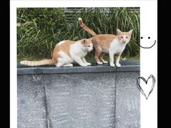 -Wagas沃歌斯(大学路店)