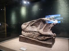 -自贡恐龙博物馆