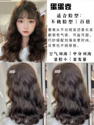-AFA Hair studio·女士发型设计