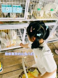 点击看大图 -小蜜蜂农场(凯德七宝购物广场店)