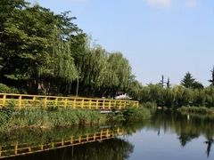 -建华生态湿地百荷园