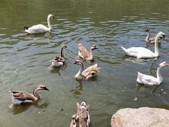 -西安秦岭野生动物园