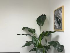 -会麦二手奢侈品回收寄卖