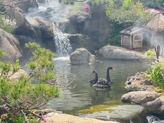 -罗红摄影艺术馆