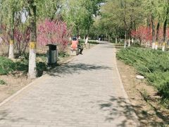 -绿堤公园