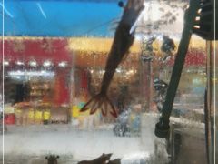 -滑记海鲜饭店·老字号(海鲜街店)