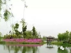 -太湖湖滨国家湿地公园-停车场