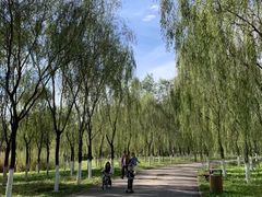 -东郊湿地公园
