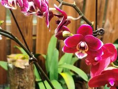 -国家植物园南园