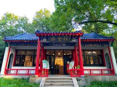 -灵谷景区