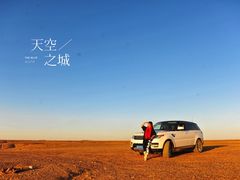 -金塔沙漠胡杨林景区