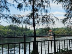 -深圳龙潭公园