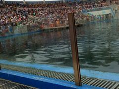 -北戴河圣蓝海洋公园