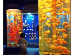 -梦幻海洋王国(吾悦广场张家港店)