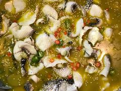 藤椒鱼-川渔居—鱼火锅(八方汇店)