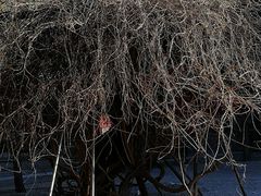 -大钟寺古钟博物馆