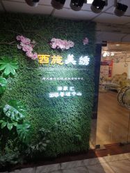 -西施无菌半永久纹绣眉眼影唇轻增发纹发际线