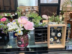 -北马山庄植趣咖啡