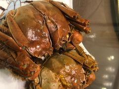 -呼吸森林·生态农庄农家乐私房菜