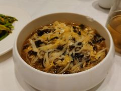地皮菜烩土豆丝-凯鸽酒楼•雁北民间菜(华北星店)