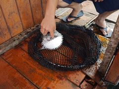 -蓝湾碧波·老字号·疍家非遗海上餐厅