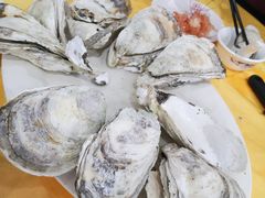 -蚝专家(北滘店)