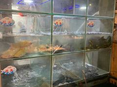 -蛙鱼道美蛙鱼自助火锅(新耍都店)