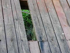 -高荡千年布依古寨旅游景区