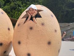 -梦幻奥陶纪景区