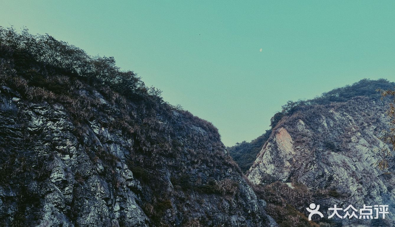 杭州余杭可以free的露营⛺️地