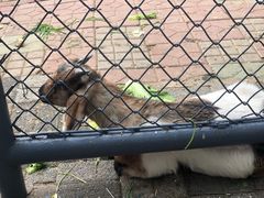 -长白岛森林公园