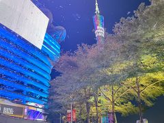 -海心沙亚运公园