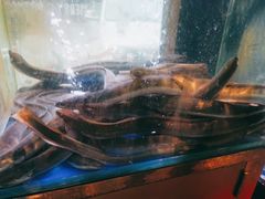-本炙炭烤·蒲烧活鳗料理店(金沙洲店)