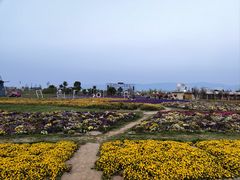 -云禾壹海景庄园餐厅