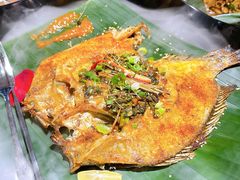 -雀舞云南菜(乐客城店)