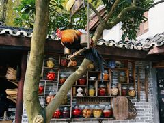 -青城甲(青城山店)