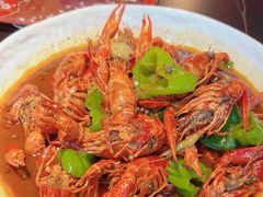 -京悦南门涮羊肉·羊蝎子火锅(田林路店)