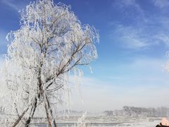 -雾凇岛