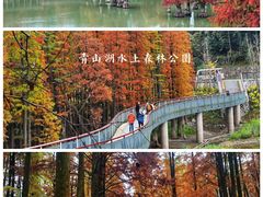 -青山湖景区
