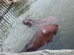 -海南热带野生动植物园