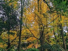 -中山公园