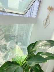 -첫번째 初见美学中心