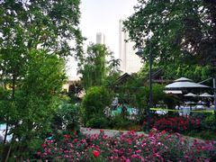 -静安公园(静安寺街道)