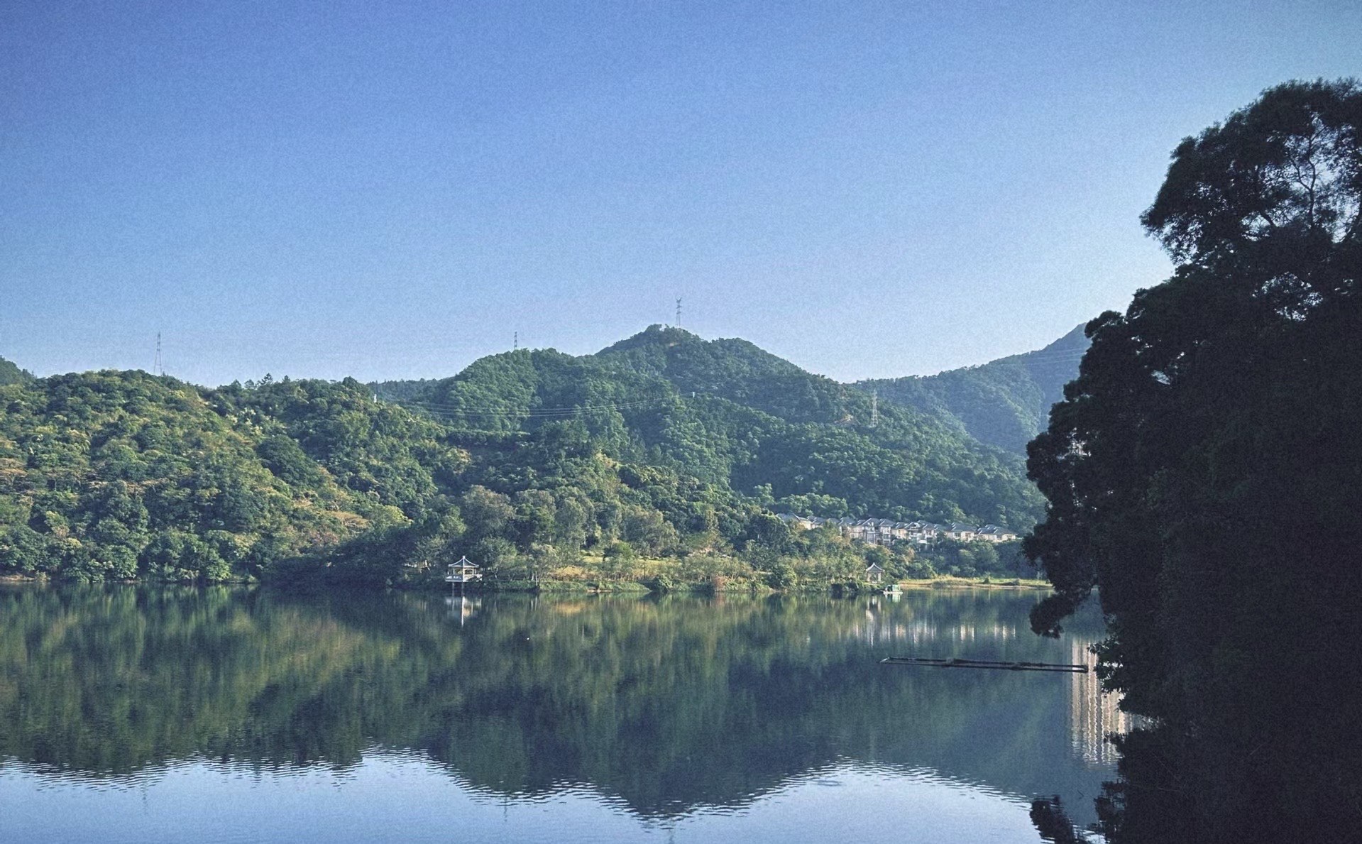 《阳春绿道:漫步自然,遇见最美的风景》