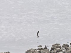 -天津东疆湾沙滩景区
