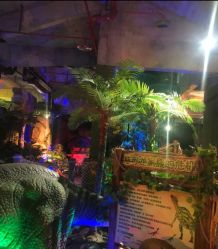 -恐龙探索乐园(磁器口店)