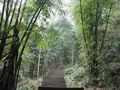 -凤栖山